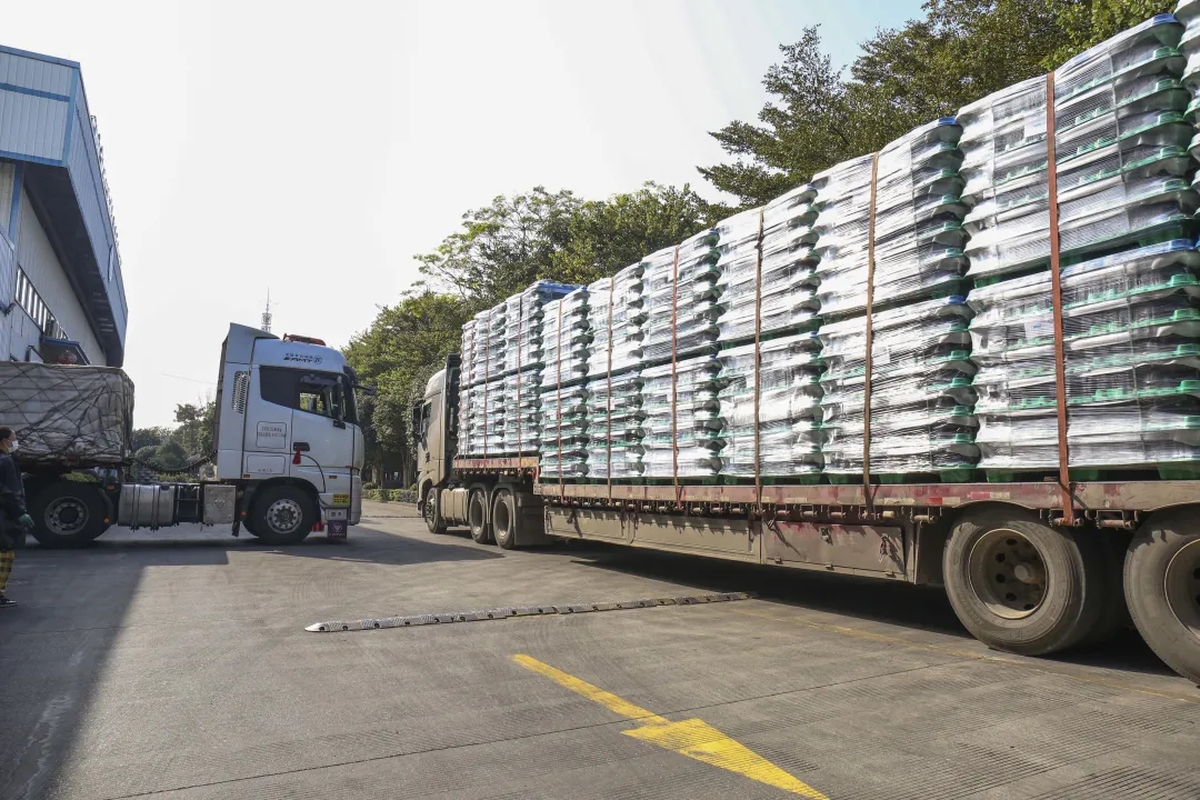 8.webp.jpg 8.webp.jpg