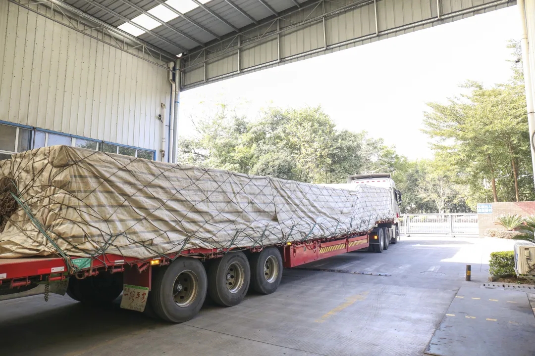 9.webp.jpg 9.webp.jpg