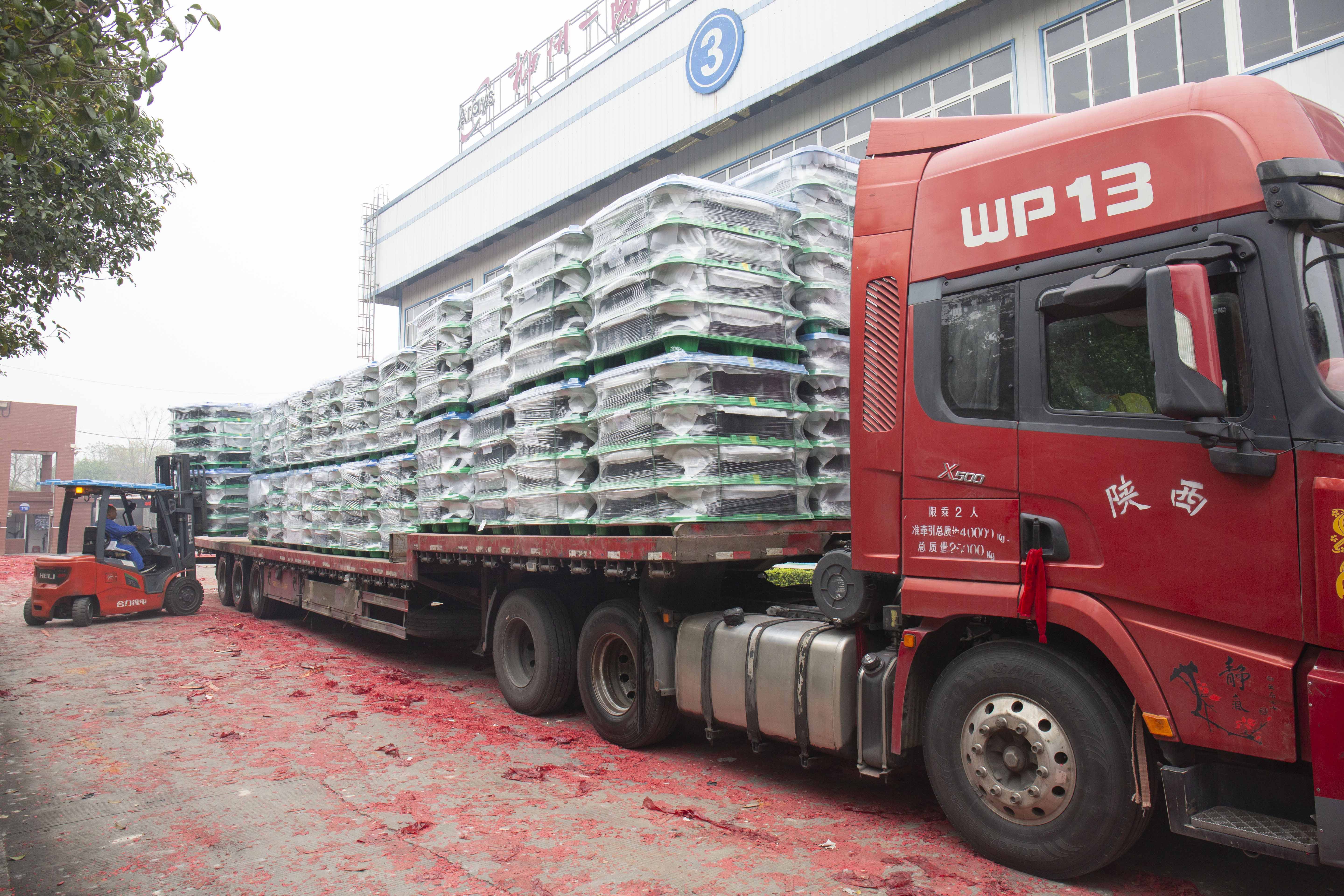 EL1A5028.jpg EL1A5028.jpg